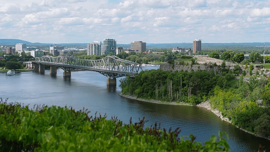 landscape photo of gray bridfe surrounded by trees and buildings HD wallpaper
