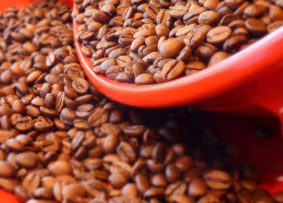 Coffee Beans, Aroma, Caffeine, roasted, roasting, stimulant, HD wallpaper