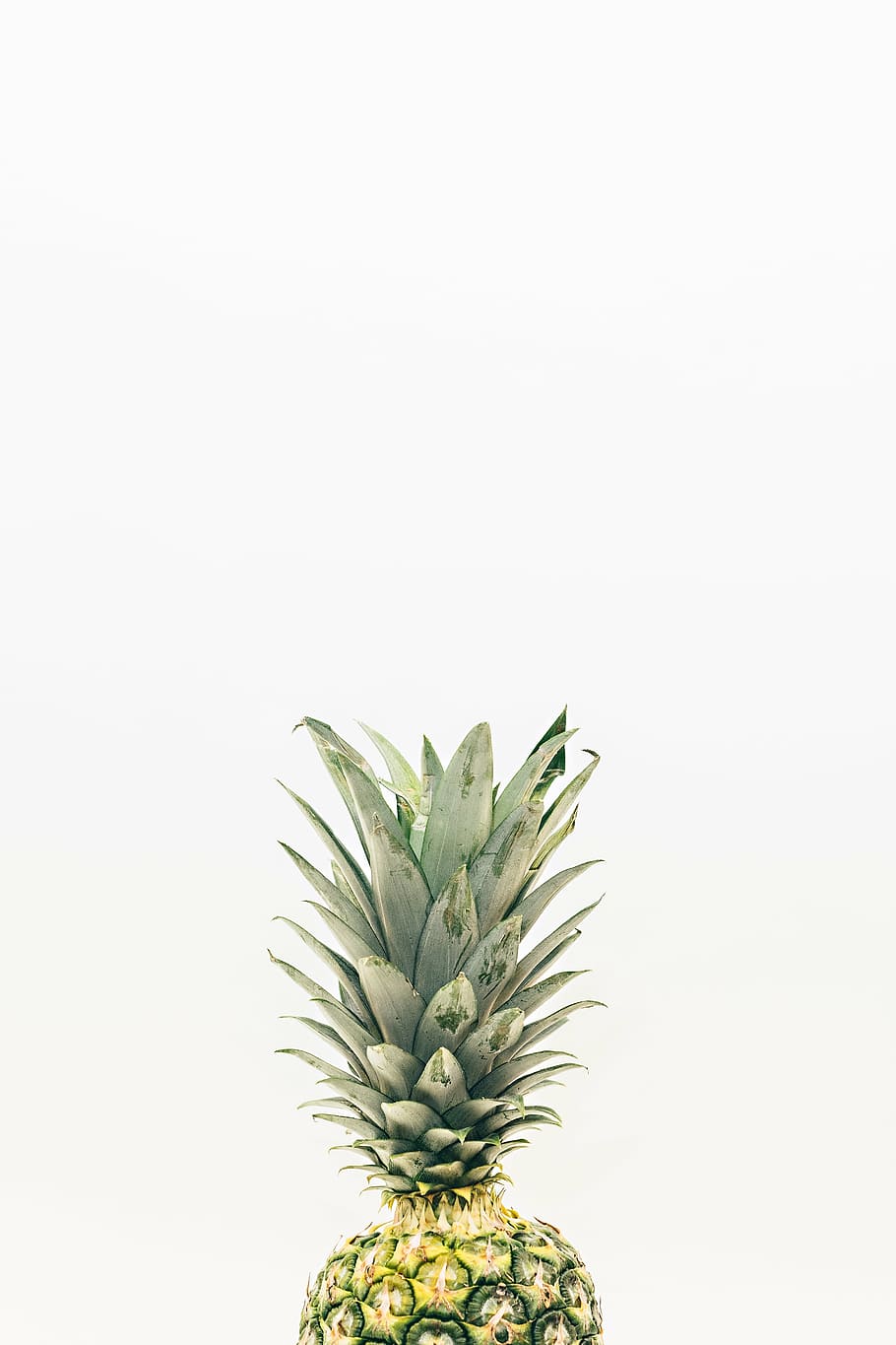 pineapple fruit, dessert, appetizer, juice, food, juicy, freshness HD wallpaper