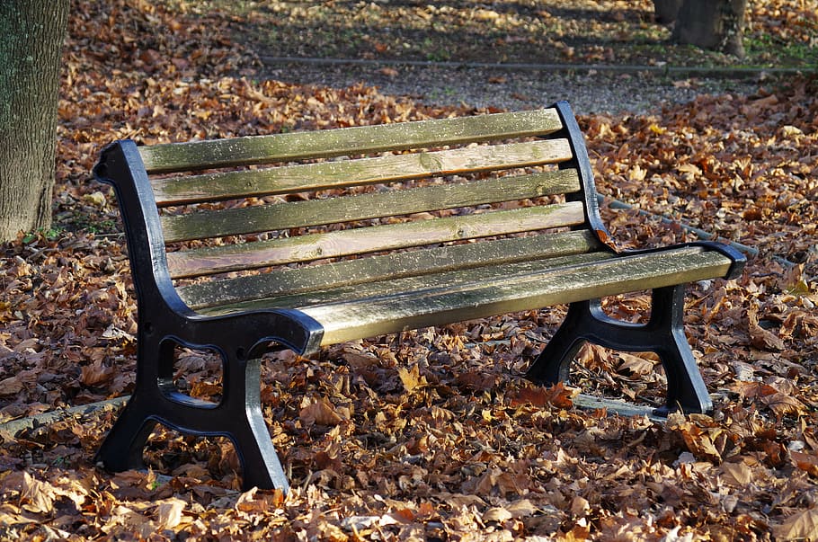 bench, park, autumn, leaf, nature, outdoors, park - Man Made Space HD wallpaper