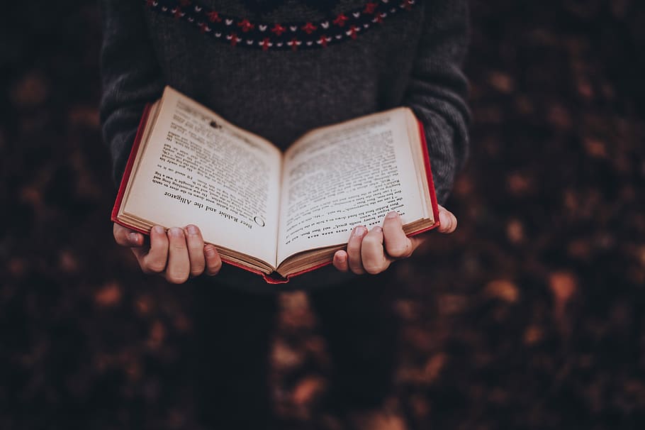 person reads book while standing on leaves, person holding opened book HD wallpaper