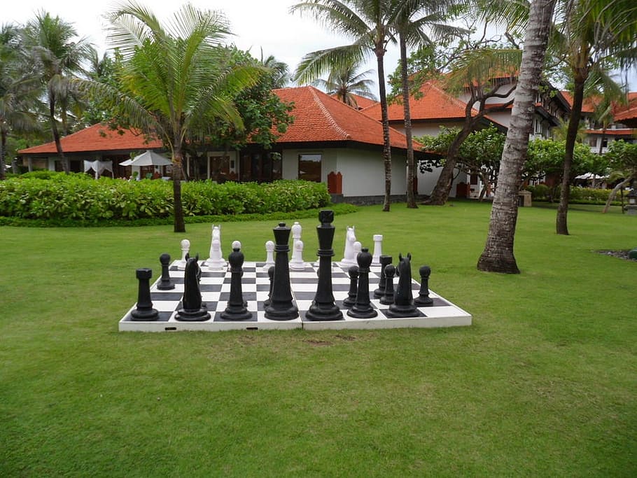 chess, garden, games, plant, grass, tree, board game, architecture HD wallpaper