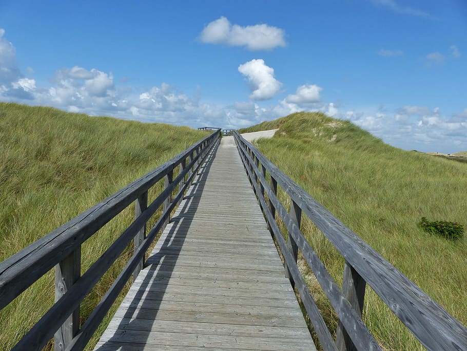 Boardwalk, Sky, Blue, Perspective, nature, web, holiday, beach HD wallpaper
