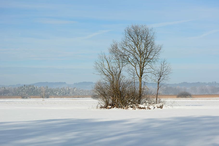Landscape, Winter, Snow, Wintry, White, snowy, snow magic, romantic HD wallpaper
