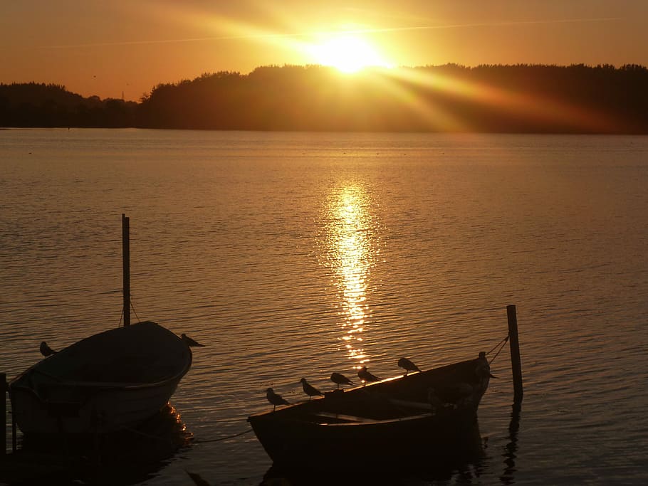 Lake, Birds, Boot, sunset, nautical vessel, reflection, tranquility HD wallpaper
