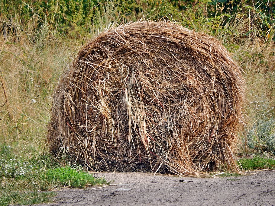 hay, rick, haystack, haymaking, harvest, plant, land, nature HD wallpaper