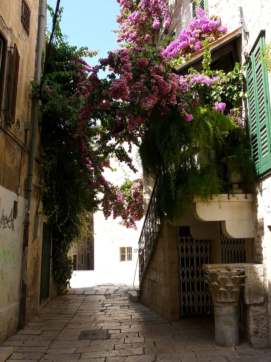 flowers bridge, balcony, passage, flowers bow, built structure, HD wallpaper