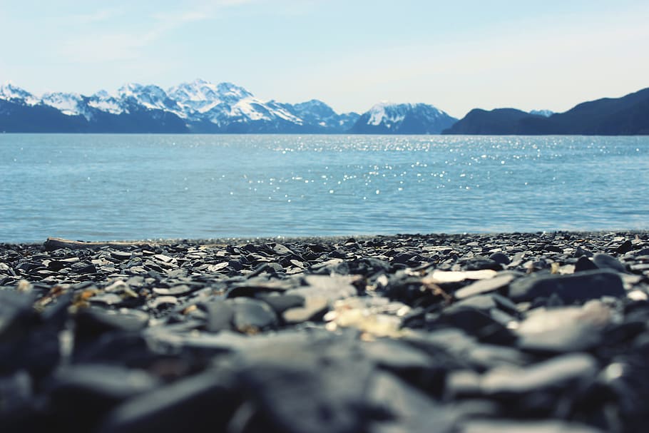 body of water, focus photography of beach shore gravels, tilt HD wallpaper