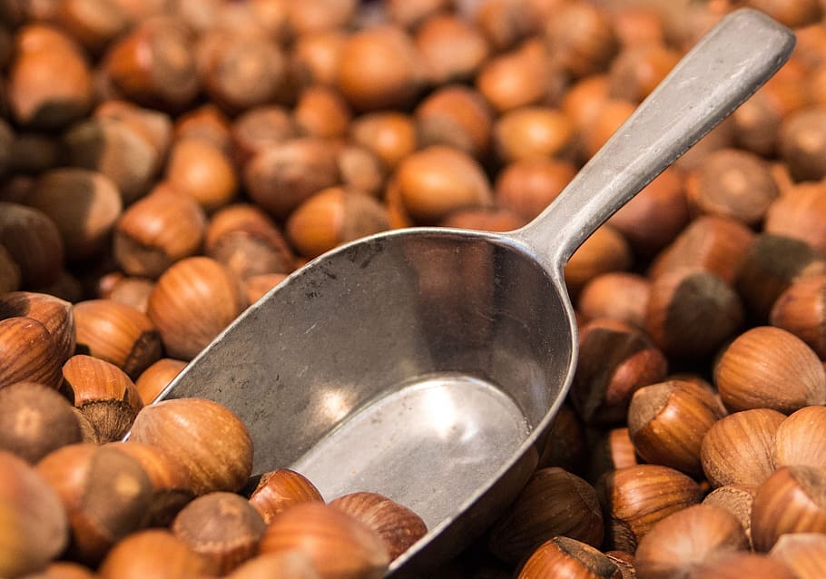 gray scoop on coffee beans, hazelnuts, brown, shells, macro HD wallpaper