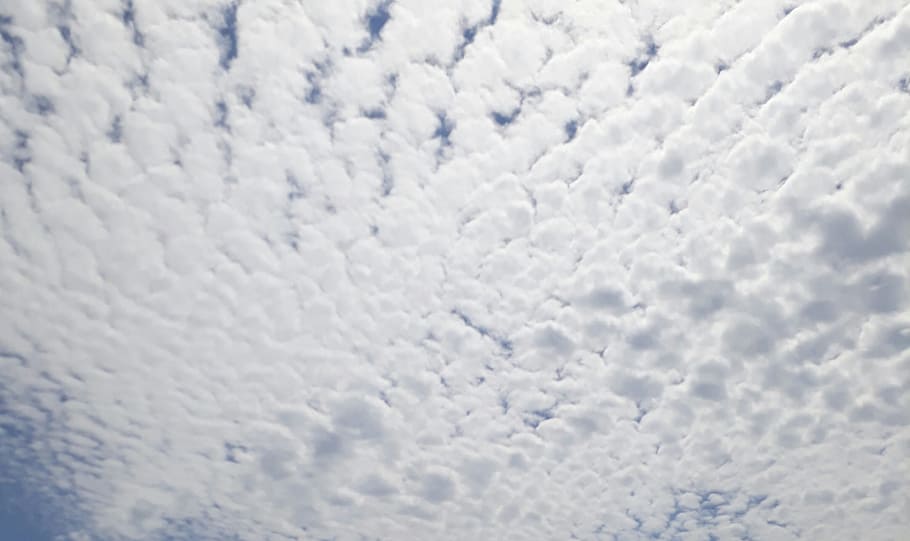 clouds, cotton, sky, white, soft, summer, backgrounds, full frame HD wallpaper