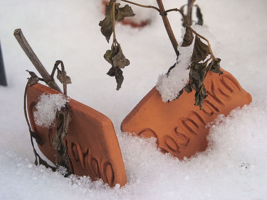snow, winter, snowed in, ice, season, frost, cold - Temperature HD wallpaper