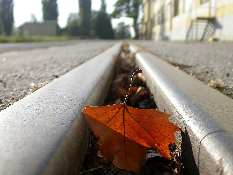 seemed, leaf, leave, mood, transience, autumn, red, railway HD wallpaper