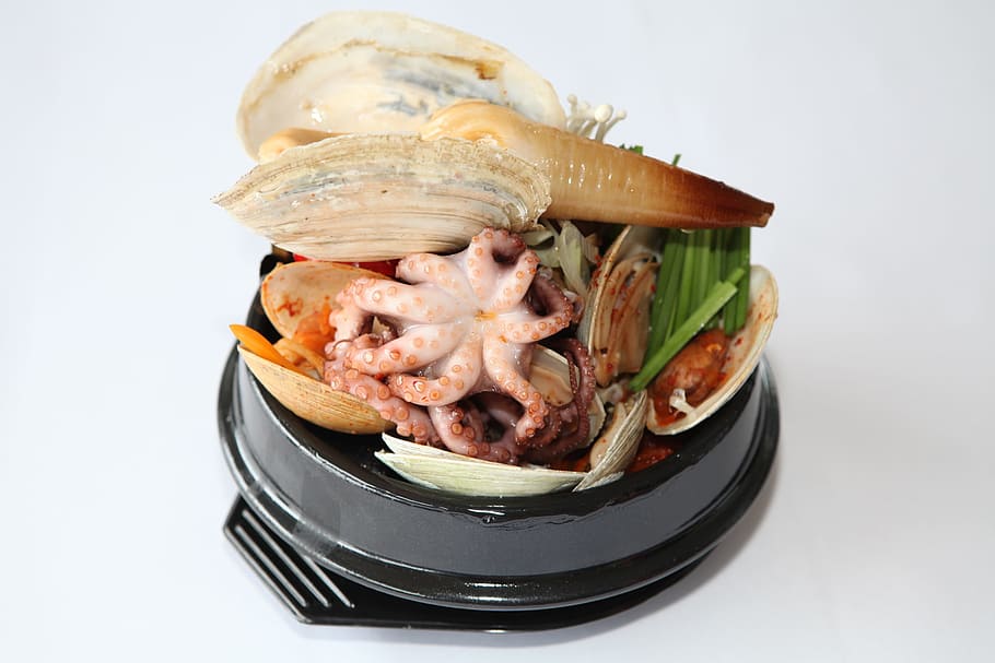 geoduck, panope japonica, koreafood, korean food, food and drink, HD wallpaper
