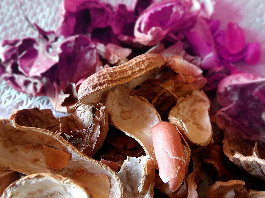 peanuts, walnuts, texture, dried fruit, no people, close-up HD wallpaper