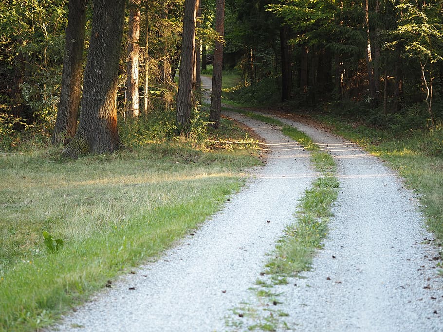 away, path, migratory path, hiking, nature, landscape, meadow HD wallpaper