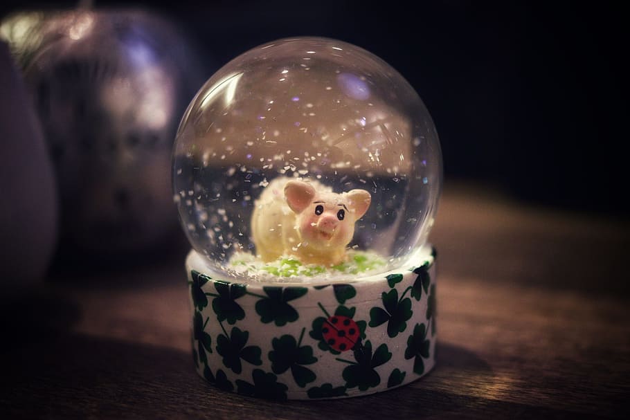 ball, pig, lucky pig, indoors, focus on foreground, pattern HD wallpaper