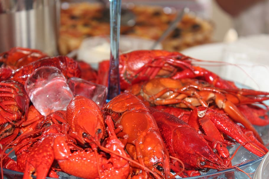 crayfish, fest, chills, canker, red, barrel, the organizing HD wallpaper