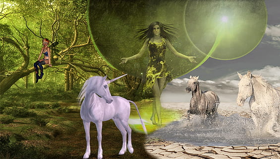 fairy standing between unicorn and two running horses digital wallpaper HD wallpaper