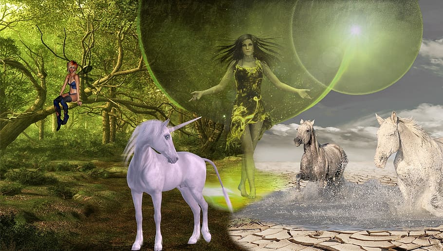 fairy standing between unicorn and two running horses digital wallpaper HD wallpaper