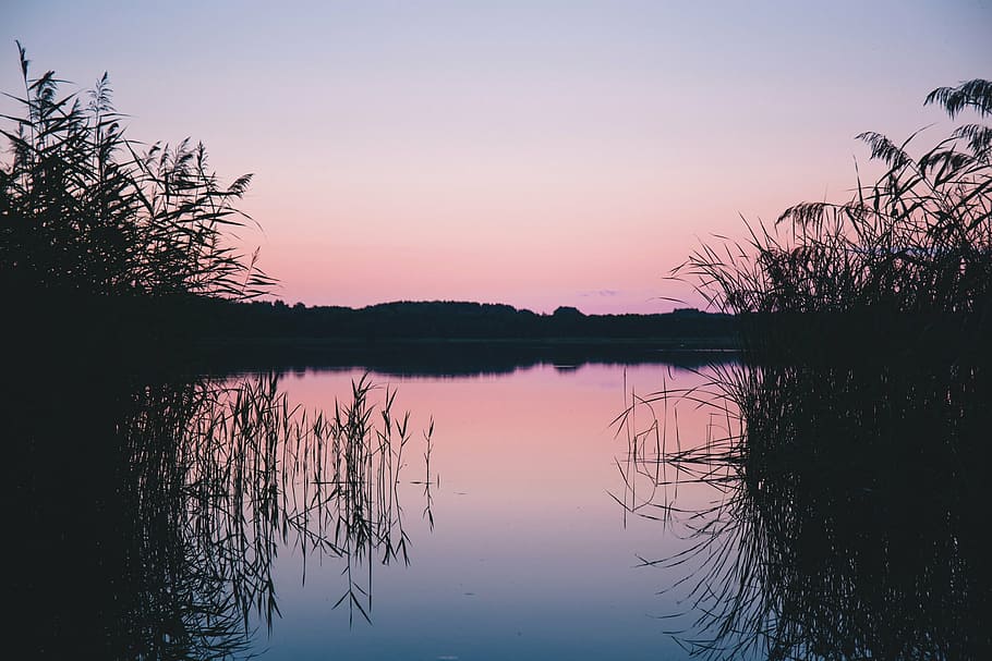 panoramic photo of body of water, silhouette, grasses, calm HD wallpaper