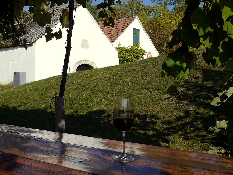 red wine, glass, cup, table, vine, grass, trees, house, autumn HD wallpaper