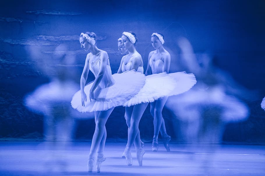 dancing ballerinas, ballet, performance, dance, bird, animal HD wallpaper