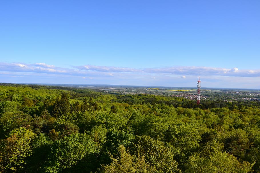 landscape, sky, tree, poland, holiday, view, blue, holidays HD wallpaper
