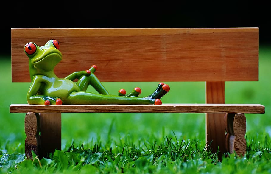 frog, bank, bench, relaxed, figure, funny, rest, relaxation, HD wallpaper