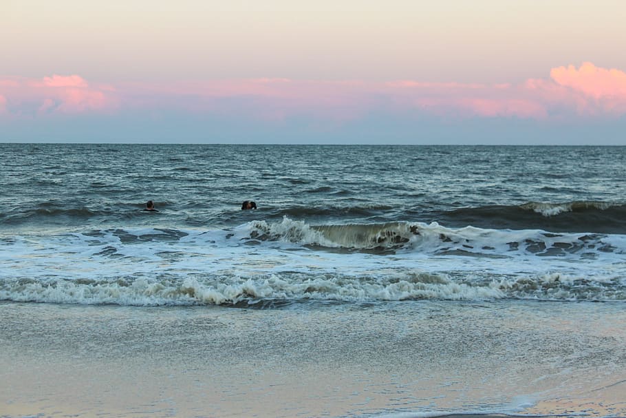 beach, hilton head, hilton head island, water, ocean, sea, sunset, HD wallpaper