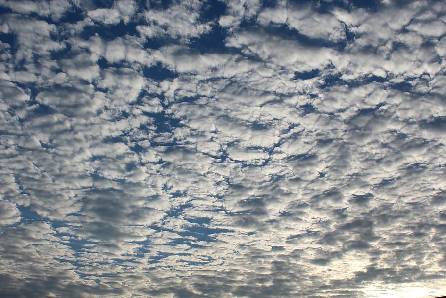 white cloud, sky, clouds, cloud - sky, beauty in nature, tranquility HD wallpaper