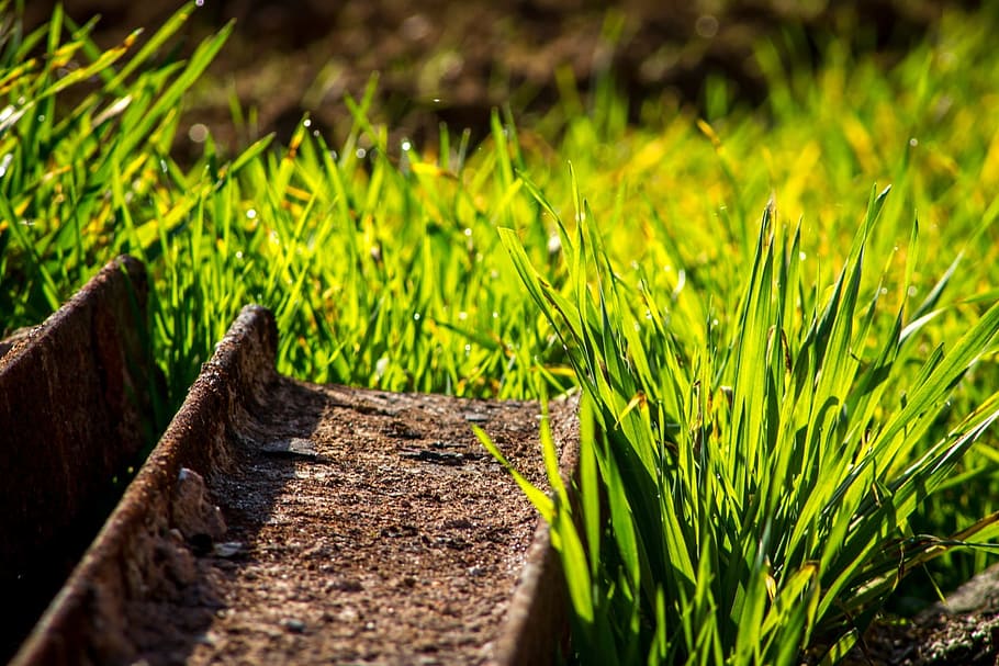 grass, green, yellow, meadow, field, steel, stainless, old HD wallpaper