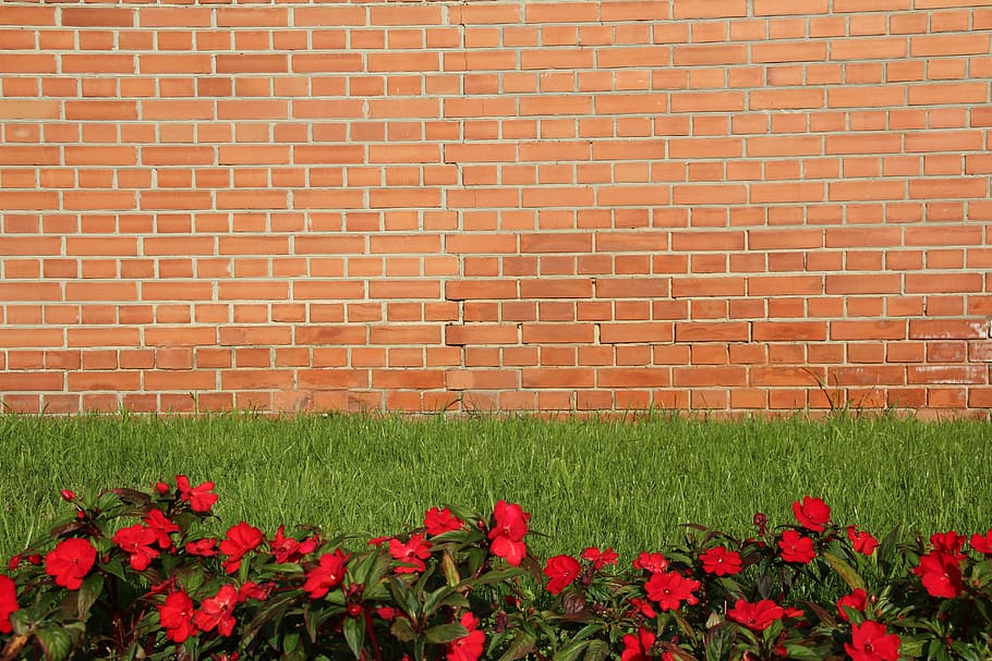 Background, Wallpaper, Meadow, flowers, brick, red, brick Wall HD wallpaper