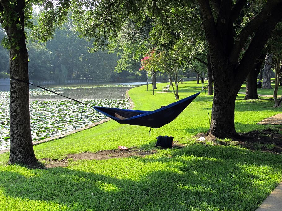 person lying on blue hammock surrounded by trees, creek, napping HD wallpaper