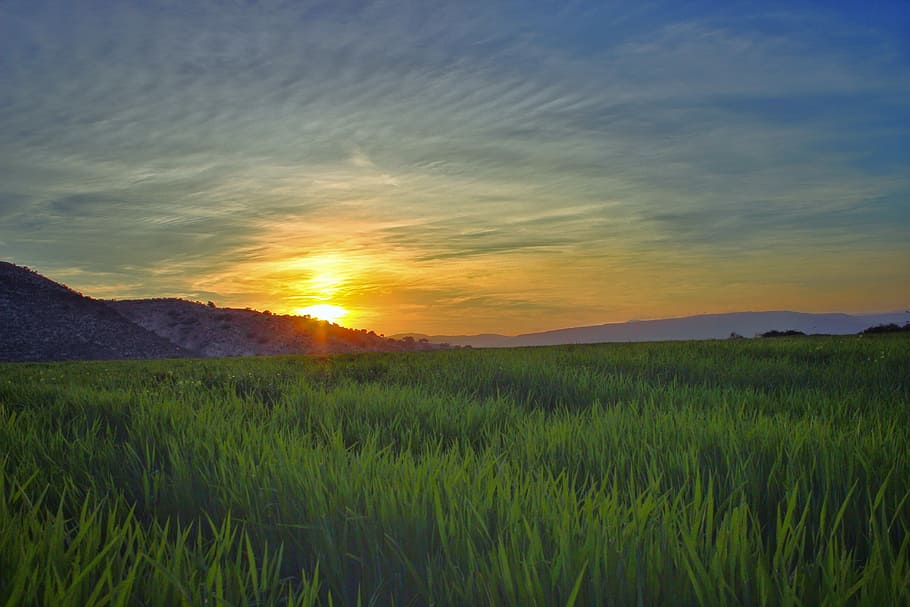 green grass field near mountain at golden hour, landscape photography of green field near mountains HD wallpaper