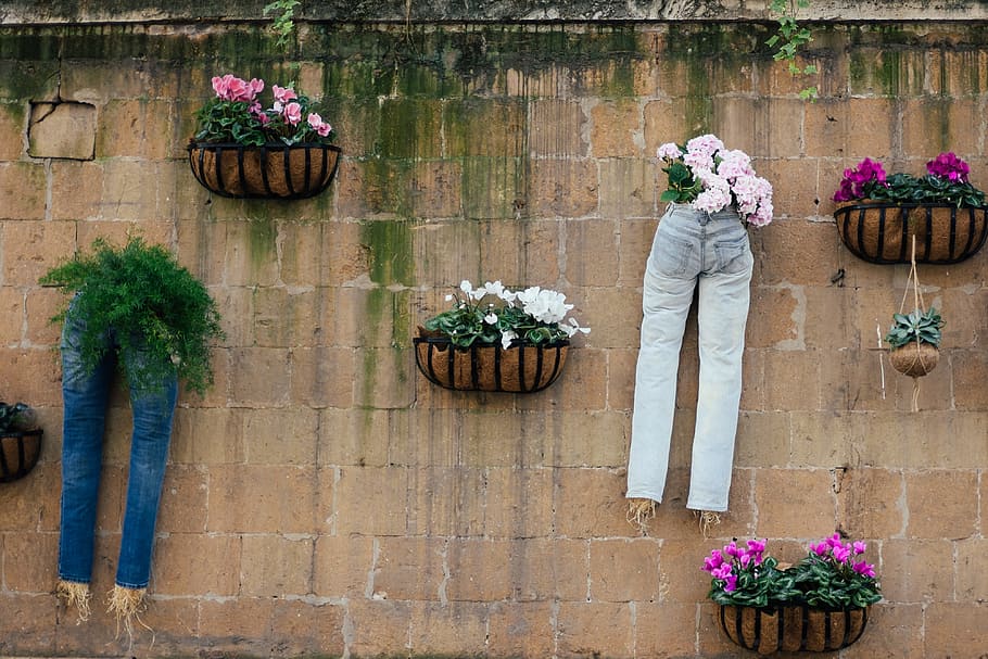 Jeans on the wall, abstract, other, flower, plant, flower Pot HD wallpaper