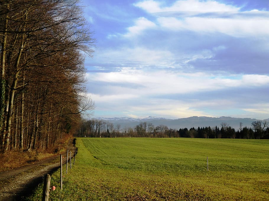 Landscape, Clouds, Away, Meadow, sky, grass, nature, sun, rest HD wallpaper