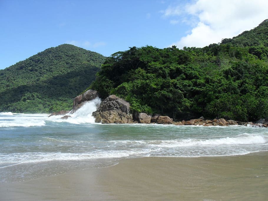 Beach, Sand, Trinity, summer, rio de janeiro, water, landscape HD wallpaper