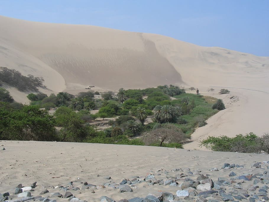 desert, peru, oasis, sand, trees, nature, mountain, land, scenics - nature HD wallpaper