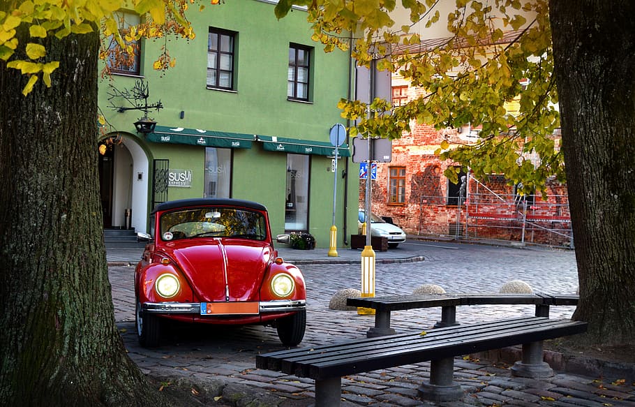 red Volkswagen Beetle coupe parked beside gray tree trunk near black concrete bench at daytime, HD wallpaper