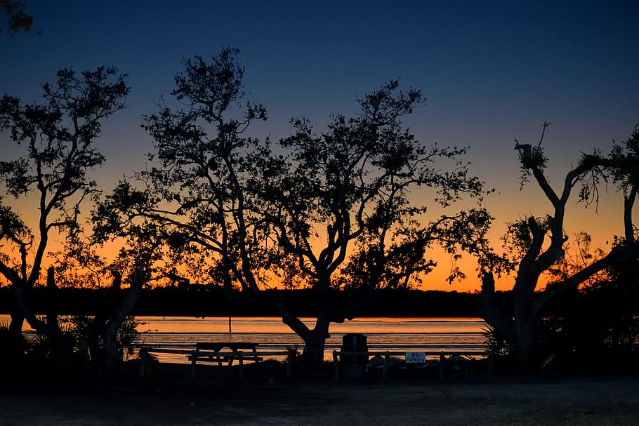 silhouette of trees during dusk, river front, sunset, nature HD wallpaper