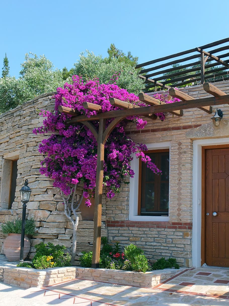 home, flower, clear, architecture, building exterior, built structure HD wallpaper
