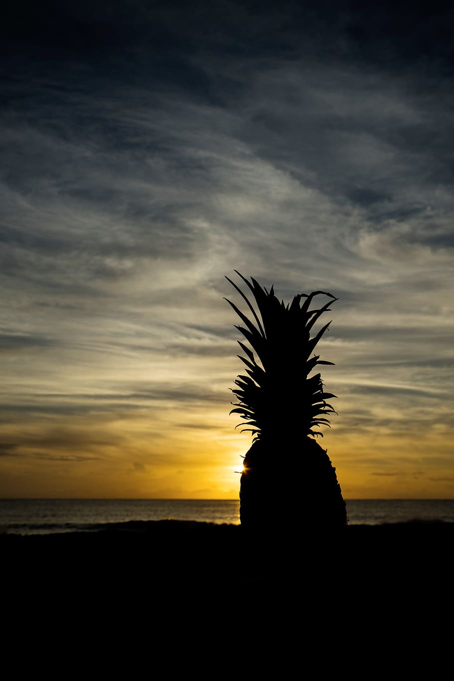 pineapple, dessert, appetizer, fruit, juice, crop, silhouette HD wallpaper