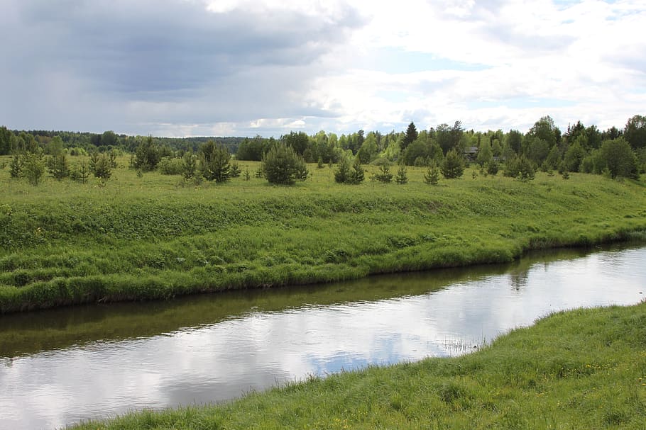 River, Meadow, Meadow, Glade, Environment, small river, wildlife HD wallpaper