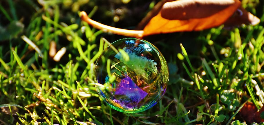 soap bubble, colorful, meadow, grass, balls, soapy water, make soap bubbles HD wallpaper