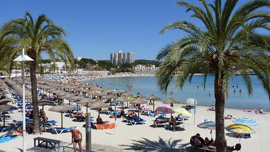 summer, sun, beach, peguera, holiday, palm, parasol, mallorca HD wallpaper