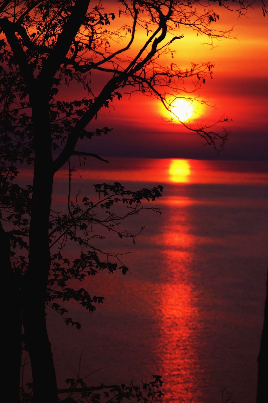 Dawn, Sea, Sky, sunset, nature, dusk, silhouette, orange Color HD wallpaper