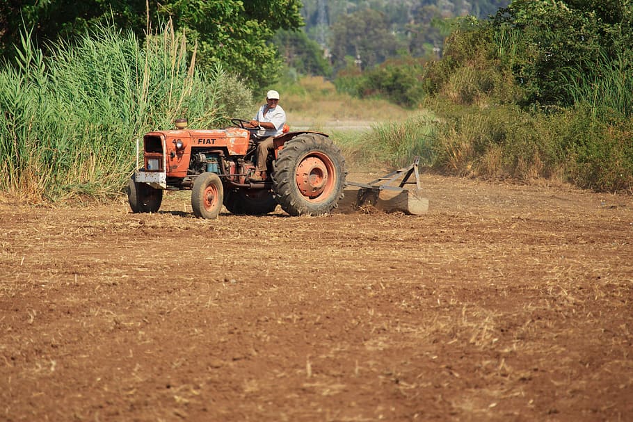 man riding red tractor on soil, Agriculture, Cultivating, Cultivation