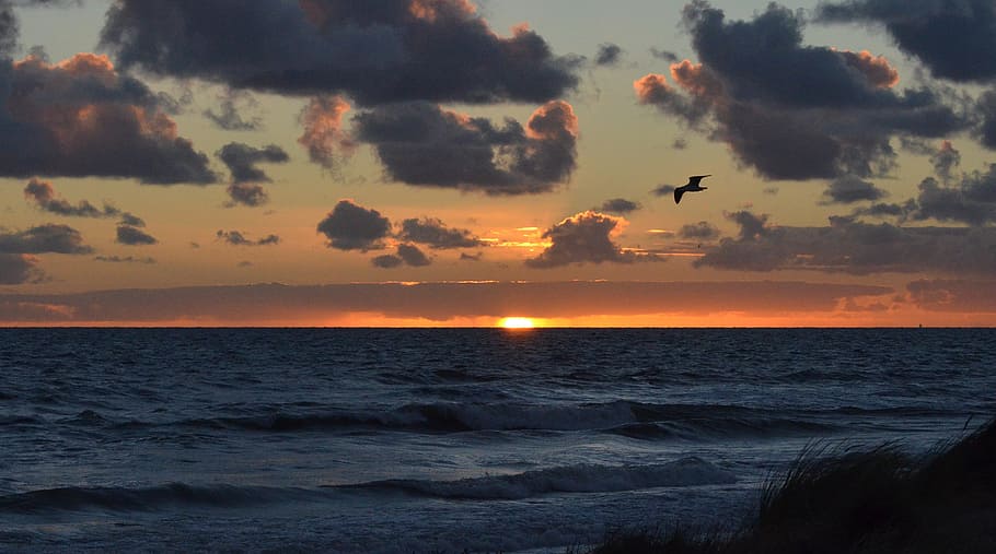 sunset, sea, sky, nature, ocean, beach, summer, seascape, coast HD wallpaper