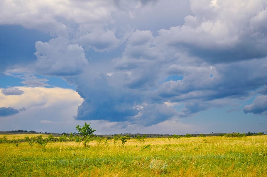 green grass field, sky, clouds, blue, nature, prairie, summer HD wallpaper