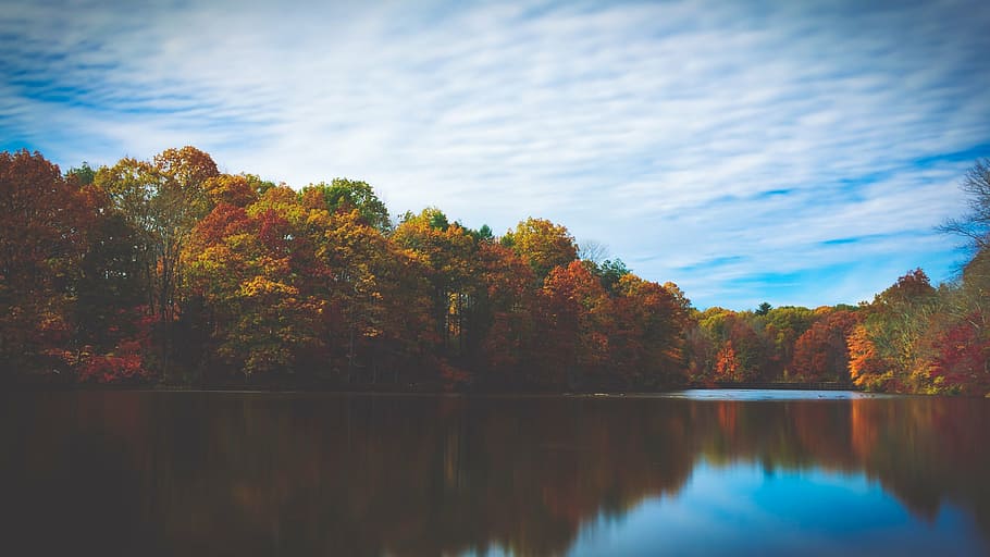 river between trees under cloudy sky, lake, reflection, autumn HD wallpaper